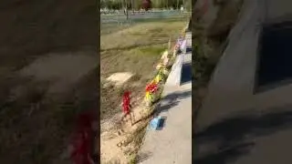 Призрачный водитель и плач ребенка