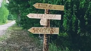 Заблудились в лесу