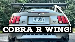 EBAY COBRA R WING INSTALL AND REVIEW! Budget price, but legendary looks!