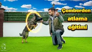 ÇEMBERDEN ATLAMA EĞİTİMİ🐶😍