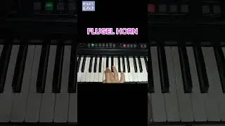 Suara Flugel Horn