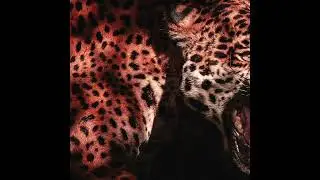 (free) Paris Texas x Sapjer x Kanye West type beat 
