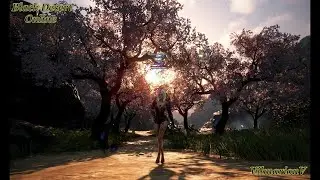 BDO ч.7 (Сравнение классов при фарме) ПВЕ Гайд:скилы,морфы на Мэгу, Лучника,Стража