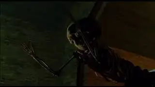 Thomas Skull Skeleton Screaming (Slow Motion)