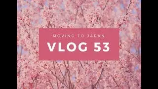 Moving to Japan | Vlog 53 (January 23-27, 2019)