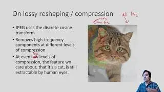 The shape and shaping of data: a genomics tour - Toronto Data Workshop
