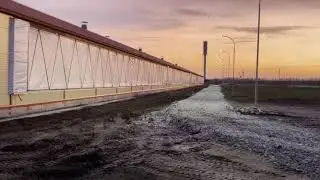 Ферма 1200 голов КРС