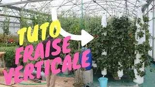 Fabriquer sa Tour de Fraise Hydroponique pour moins de 10€ ! - TUTO