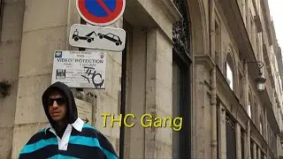 Ufo361 - THC GANG