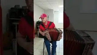 Любимые песни  под гармонь.
