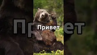 Новый контент! #shorts