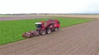 Bietenrooien met Agrifac Big Six Texel 2017