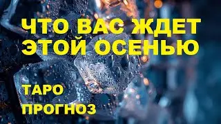 Что вас ждет этой осенью таро прогноз