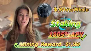 📊 Full Solana WhiteWhale Staking Tutorial | Understanding the 1805% Model