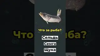 #video