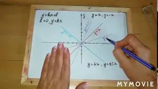 График линейной функции