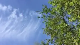 stillness speak