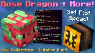 Rose Dragon! Sundial! New Collections + Mutation Hunt! (Hypixel Skyblock News!)