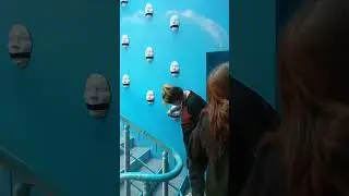 музей впечатлений