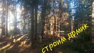 Строим дорогу через болото,что нам стоит дом построить