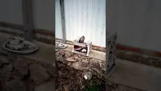 Мойка посуды