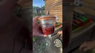 Je vous présente Jacqueline👵 #potager #jacqueline #video