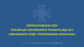 Русские оккупанты боятся Украинскую Армию. Рашист позвонил домой: Мы тут бегаем, как позорные крысы
