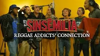 SINSEMILIA - Reggae Addicts Connection - ( Clip Officiel 📽️ )