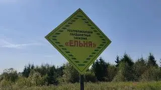 На краю Земли. Болото Ельня