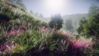 Unity - Vegetation models and shader