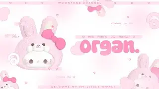 ε ♡ з    organizando   meu   perfil   do   tumblr