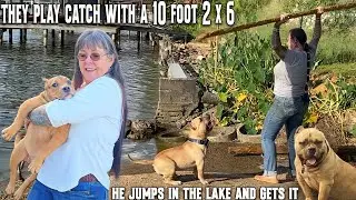 70 Year Old Tatted up Biker Lady Buys 2 American Bullies from The World Famous Killlinois Kennels