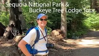 2 Days In  Sequoia National Park & Buckeye Tree Lodge Tour