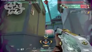 Most Satisfying Vandal Spray Transfer