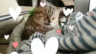 🌟 In Loving Memory of Ticky 🌟Old Video of our Beloved Ticky