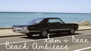 Supernatural Beach Ambience ASMR with Sam & Dean [commission]
