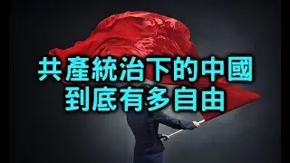 共產自由和民主自由到底插在哪裡？【聊時事024】