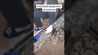Старейший предок всех анонимусов! ШОК!