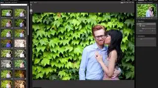 Perfect Effects 4 - Using Search and Favorites