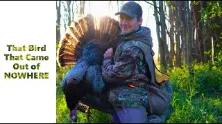 The Bird that Came Out of NOWHERE  |  PA Spring Turkey