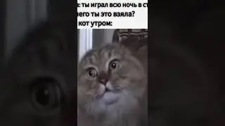 #csgo