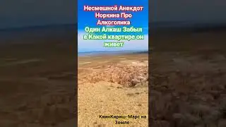 Не Смешной Анекдот Норкина Про Алкаша(КиинКириш)