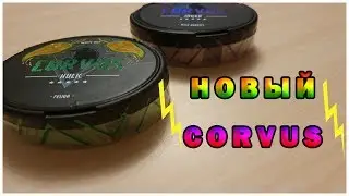 Новые вкусы от CORVUS