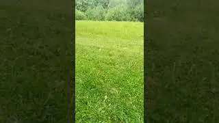 Ты за меня придурка не держи