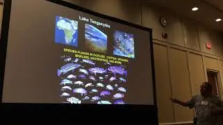 Bowen: Adaptive radiations in the sea: What the flock?