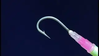 1O TRICKS TERBAIK - sangat BERGUNA bagi pemancing - COBALAH ....
