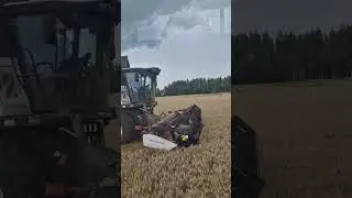 Уборка урожая 2024 