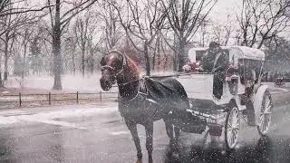 Create animated, falling snow with zoom & pan effects, in Adobe Photoshop