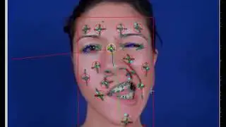 CryENGINE: Facial Solver (2005)