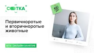 Первичноротые и вторичноротые животные | БИОЛОГИЯ ЕГЭ | СОТКА